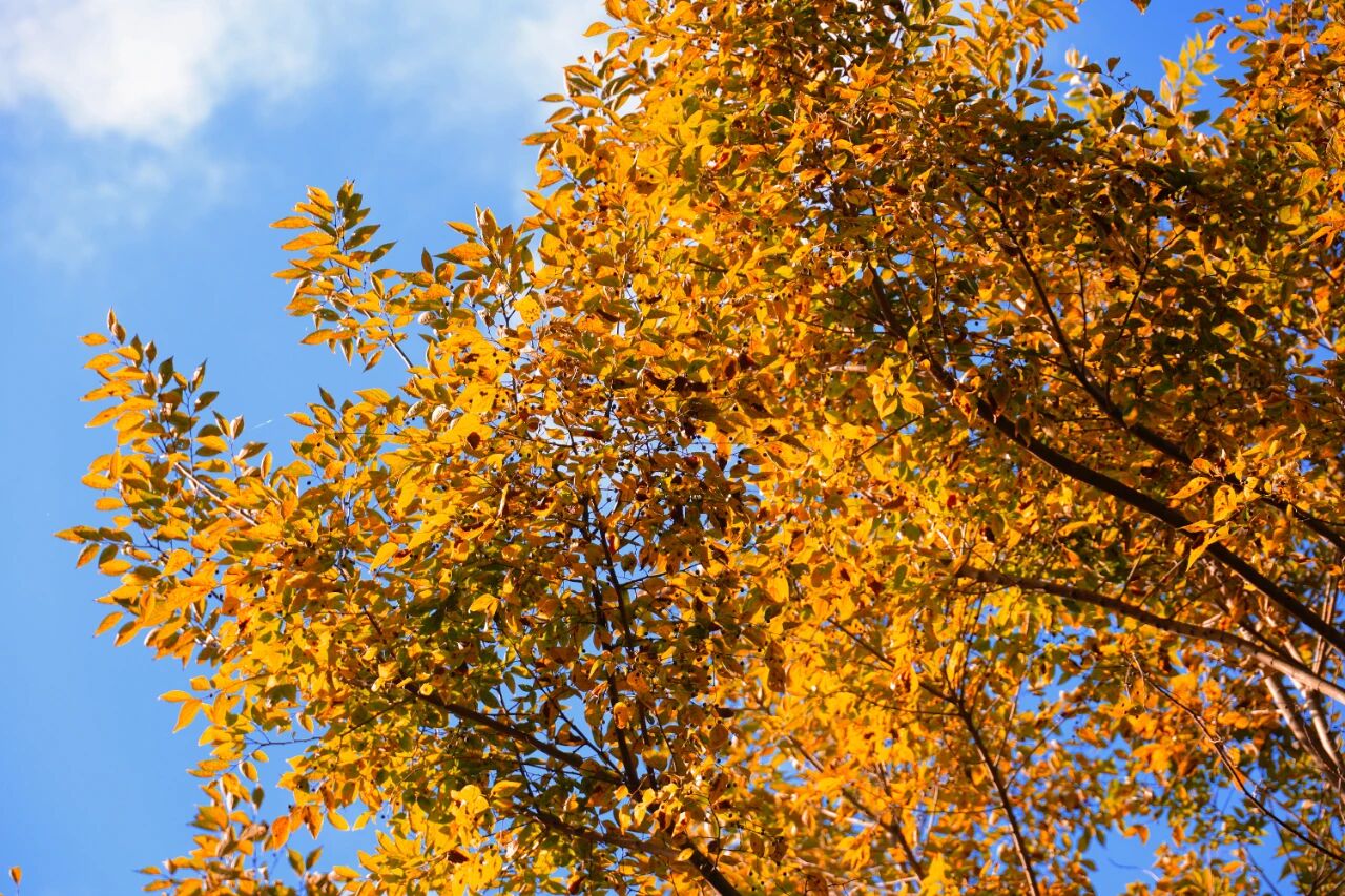 1b8fbf661a120991279e6eba59f723fa.jpg